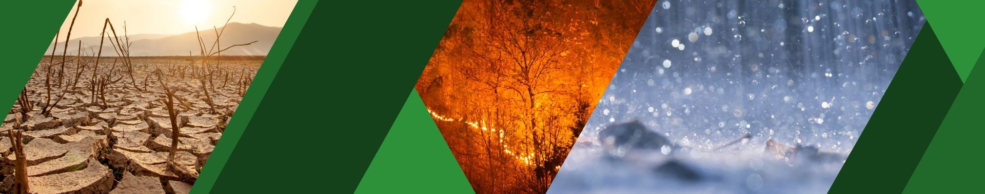 Miejski Plan Adaptacji do Zmian Klimatu (MPA)